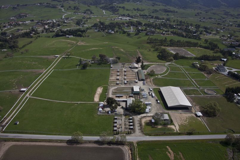 Tomato Mosaic Virus Visual Diagnosis(TMVVD) – screenshot 1