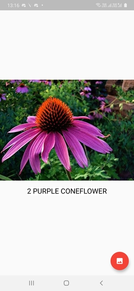 RADAR – screenshot 5