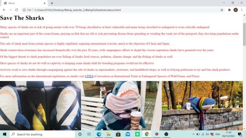 BLAJHA TO YOUR LIFE – screenshot 6