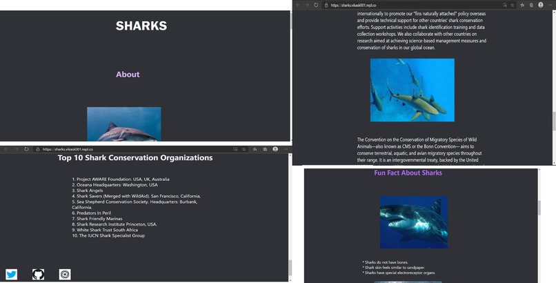Sharks – screenshot 1