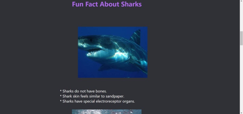 Sharks – screenshot 3