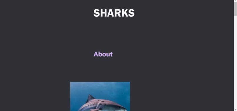 Sharks – screenshot 4