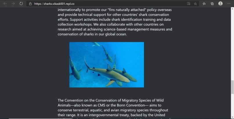 Sharks – screenshot 5