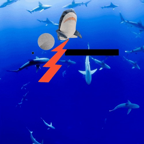 SharPay – screenshot 1