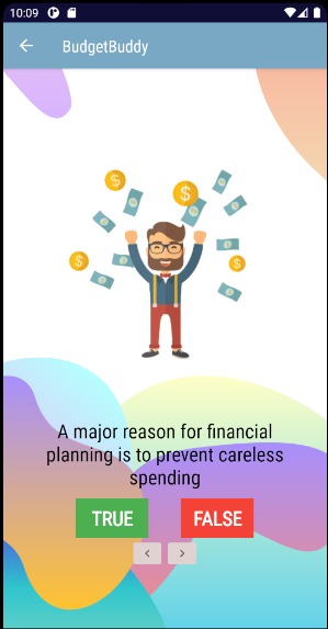 BudgetBuddy – screenshot 12
