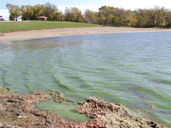 CyaNo – screenshot 5