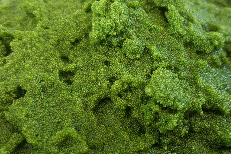 CyaNo – screenshot 6