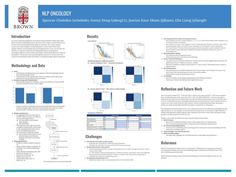 NLP Oncology – screenshot 1