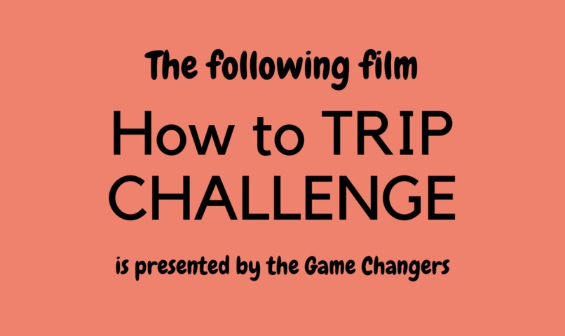 The Roma Inclusiveness Project (TRIP) – screenshot 1