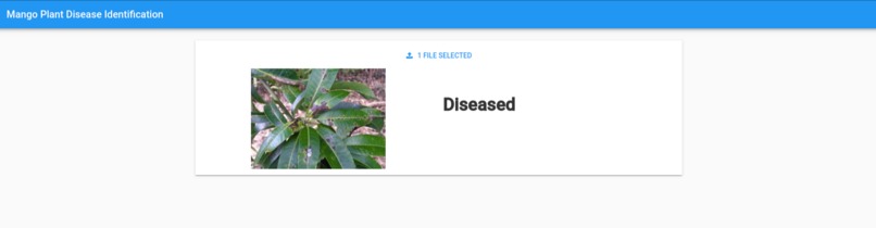 Mango Plant Disease Identification – screenshot 1