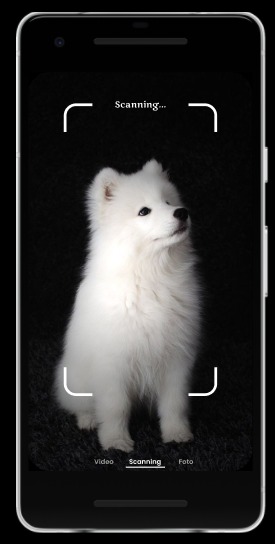 SI4108 - For Your Pet – screenshot 3