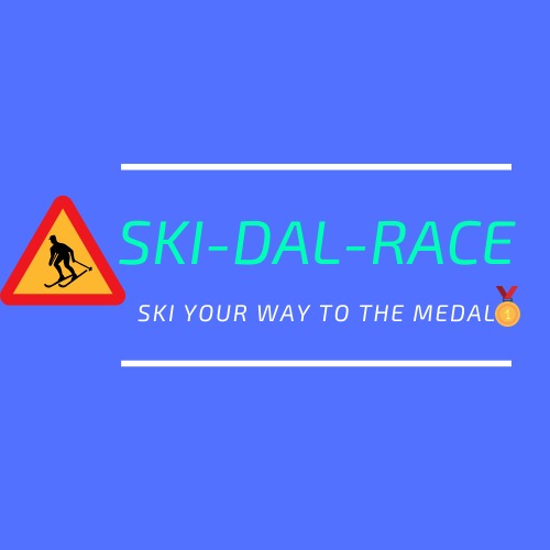 SKI-DAL-RACE – screenshot 1
