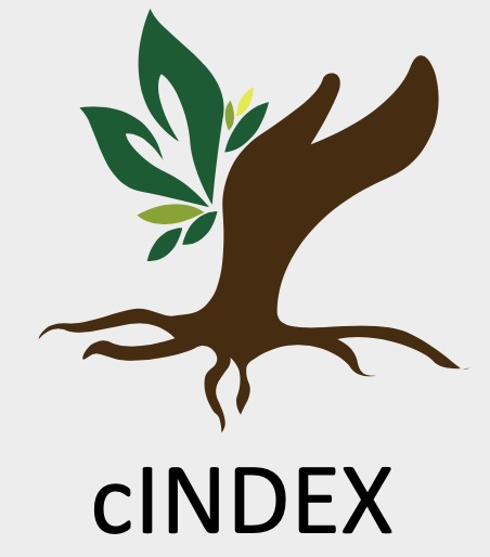 cINDEX – screenshot 1