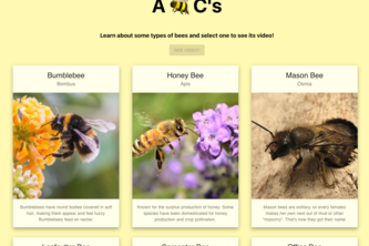 A Bee C's