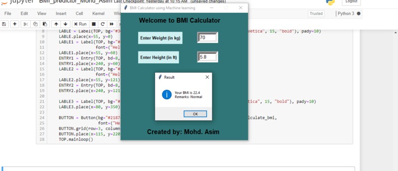 BMI predictor – screenshot 1