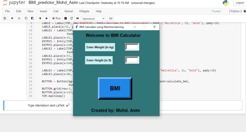 BMI predictor – screenshot 2