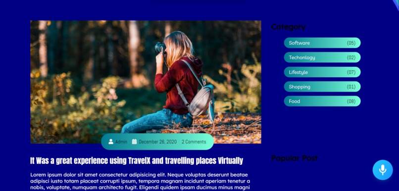 Travel-X The Winter Edition – screenshot 2