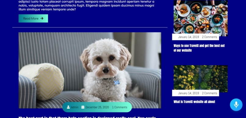 Travel-X The Winter Edition – screenshot 3