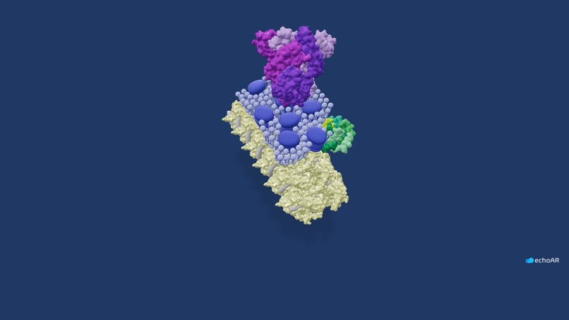 SARS-CoV-2 Spike Protein – screenshot 2