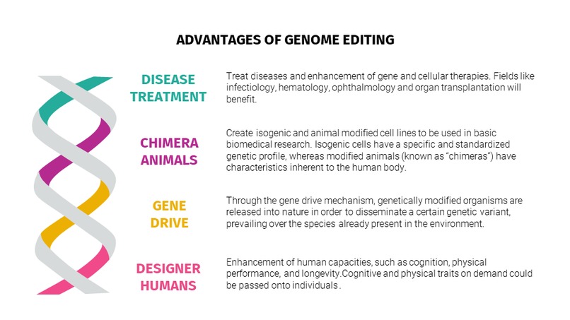 Cas9 Einstein – screenshot 9
