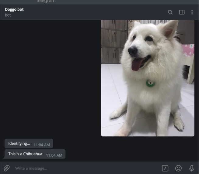 DoggoBot – screenshot 1
