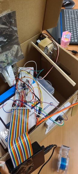 NOT Schrödinger's Box – screenshot 4