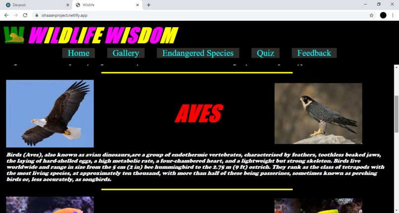 Wildlife Wisdom Website – screenshot 2