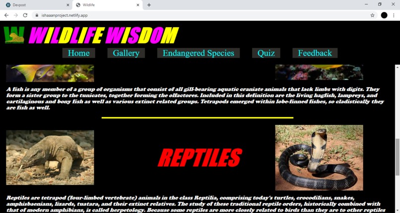 Wildlife Wisdom Website – screenshot 3