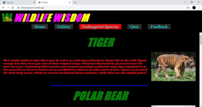 Wildlife Wisdom Website – screenshot 4