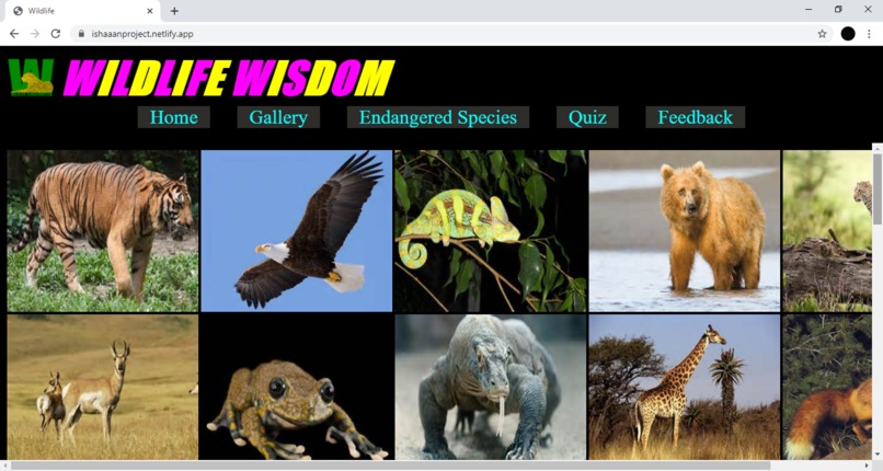 Wildlife Wisdom Website – screenshot 5