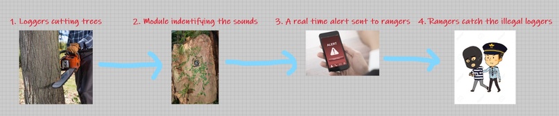 Anti-Illegal_Logging-Force – screenshot 3