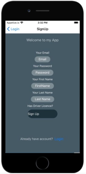 Carpool Fun – screenshot 5