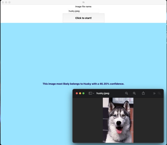 iDogifier – screenshot 2