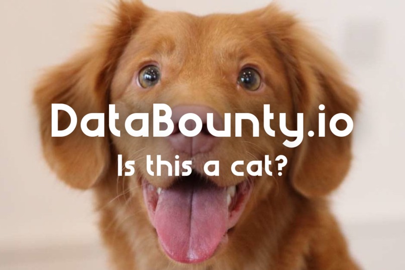 DataBounty.io – screenshot 1