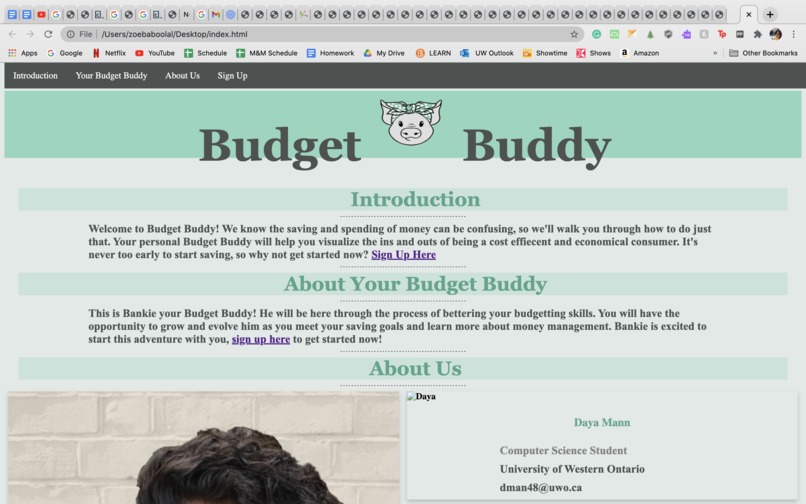Budget Buddy – screenshot 3