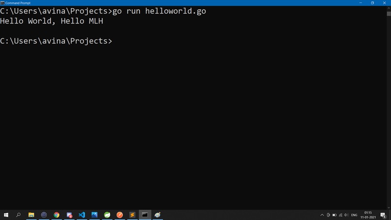 Hello World in Go – screenshot 1
