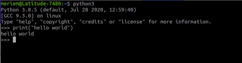 Hello, World in a New Language – screenshot 1