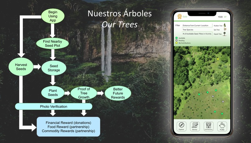Our Trees / Nuestros Arboles – screenshot 1