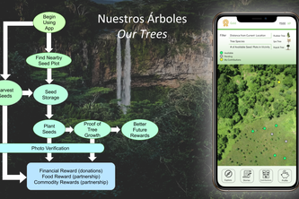 Our Trees / Nuestros Arboles