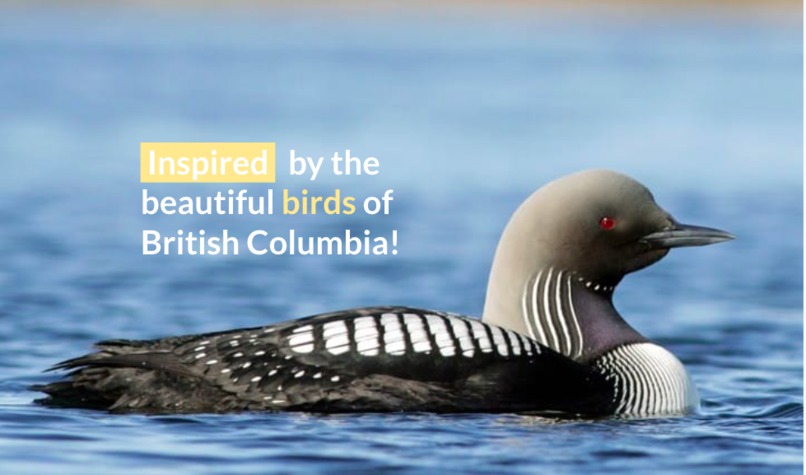 GoBird BC – screenshot 2