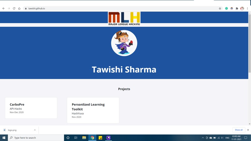 Portfolio – screenshot 1