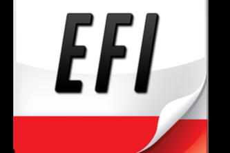 Group 20 - Efi | Devpost