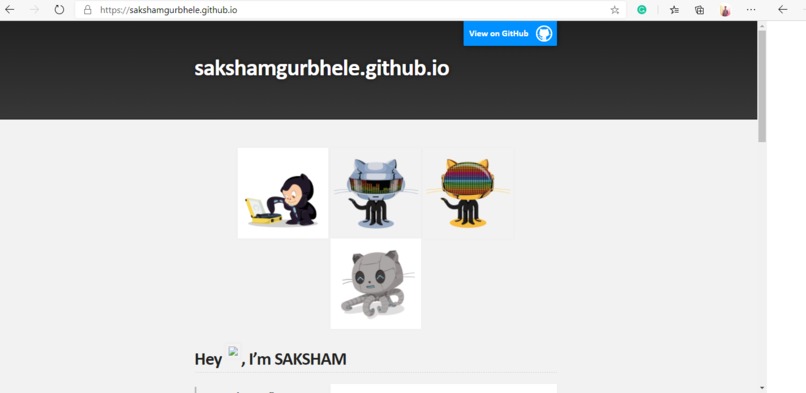 portfolio site – screenshot 1