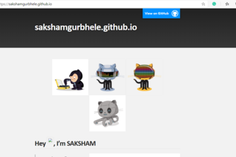 portfolio site