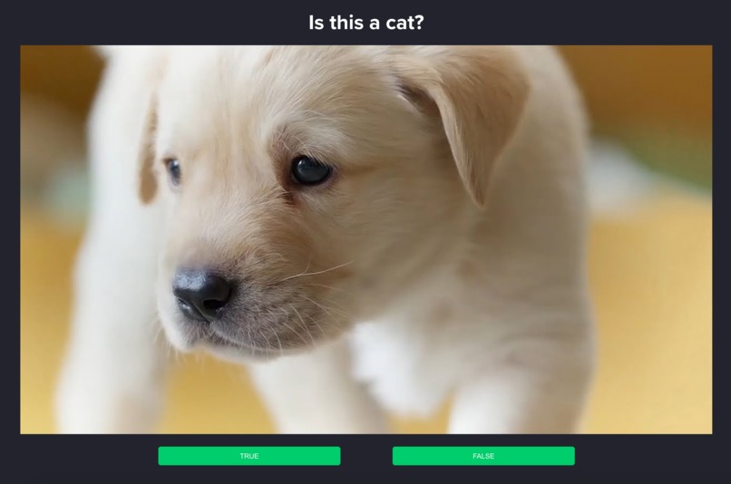 DataBounty.io – screenshot 4
