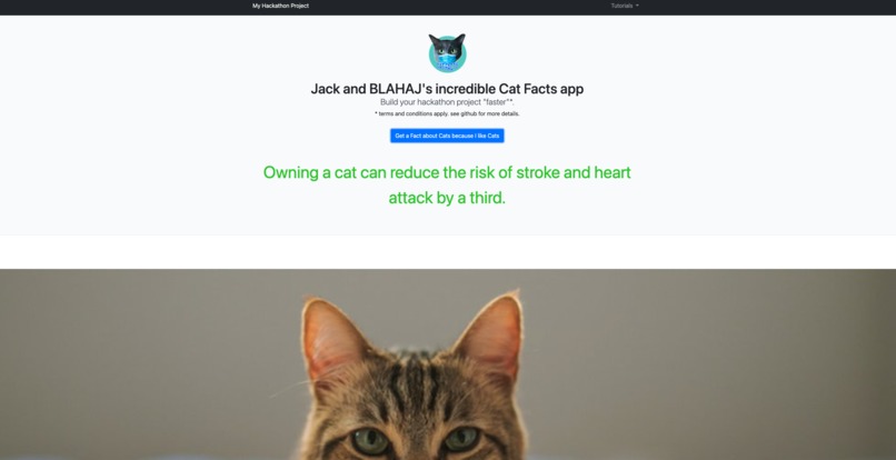 Cat Facts - Build with a Starter Kit Challenge – screenshot 1