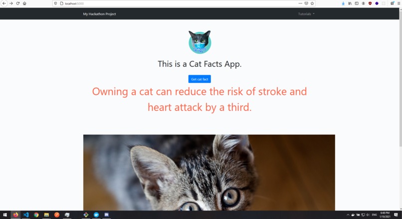 Node JS Cat Facts – screenshot 1
