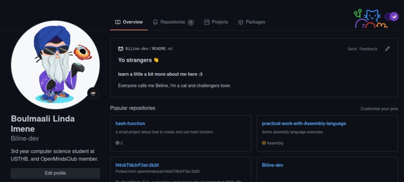 Github Profile – screenshot 1