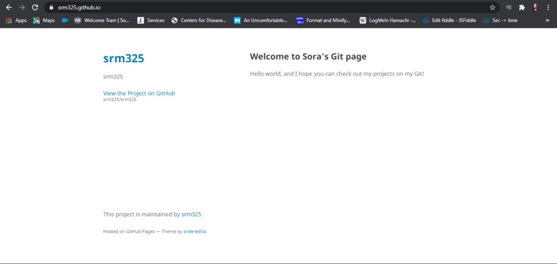 GitHub Page – screenshot 1