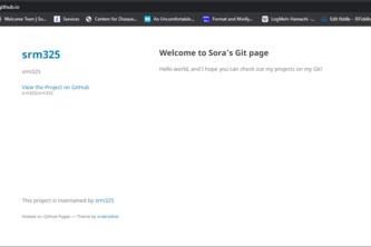 GitHub Page